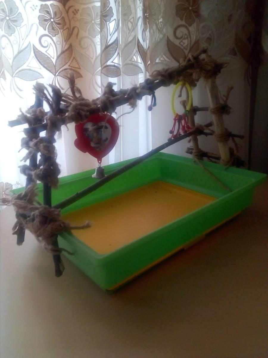 Игровая площадка для Груни