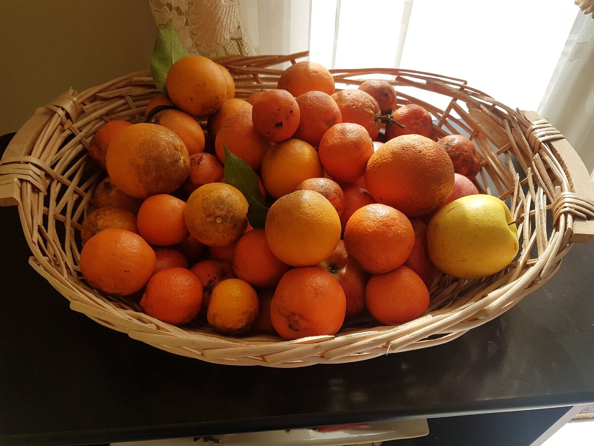 Фото автора. Наша корзинка с фруктами в Италии