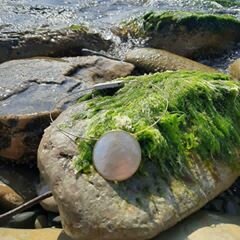 съемки на море