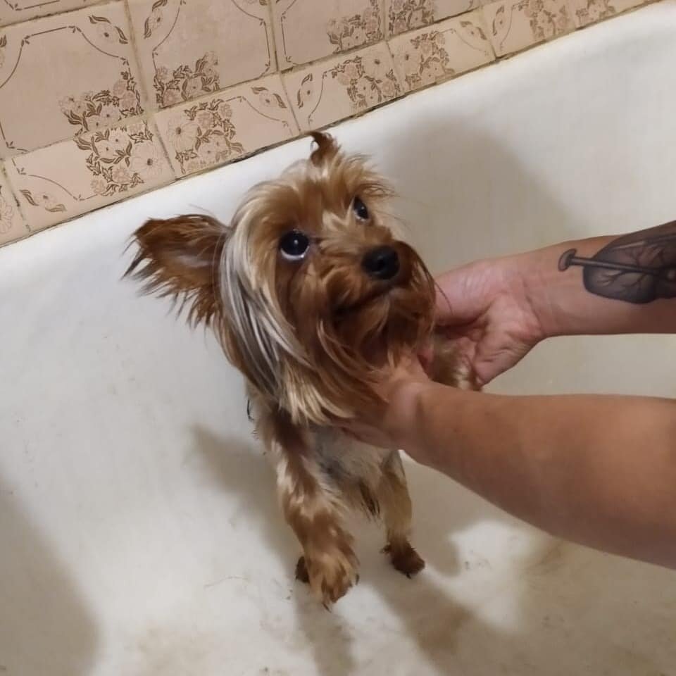 Может не надо?