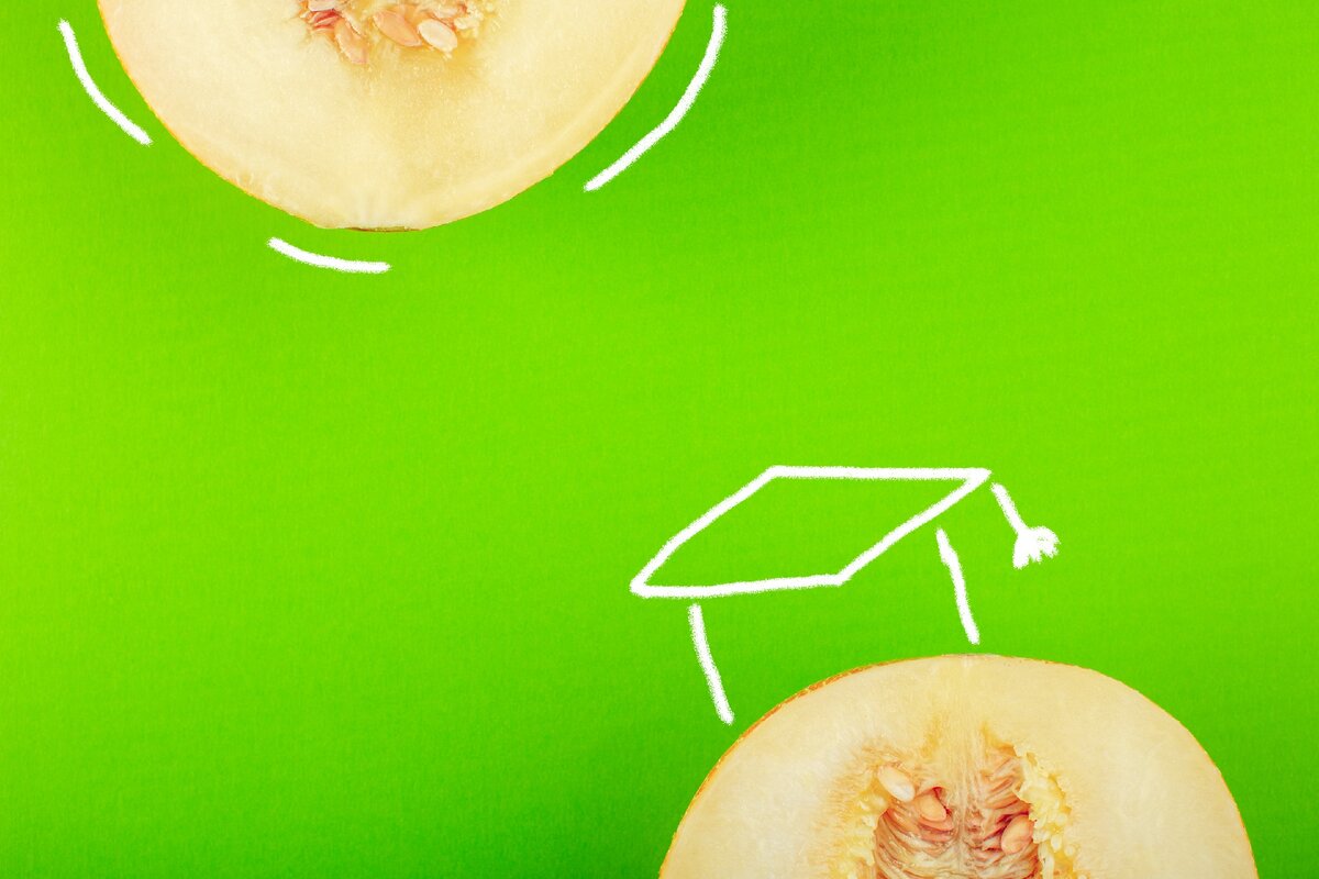 Нужно ли web дизайнеру высшее образование?