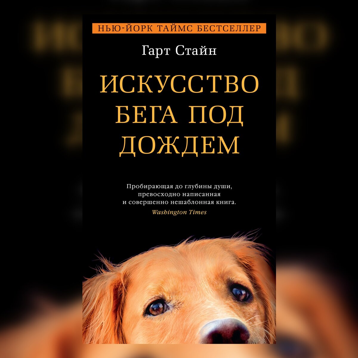 Книги про собачек