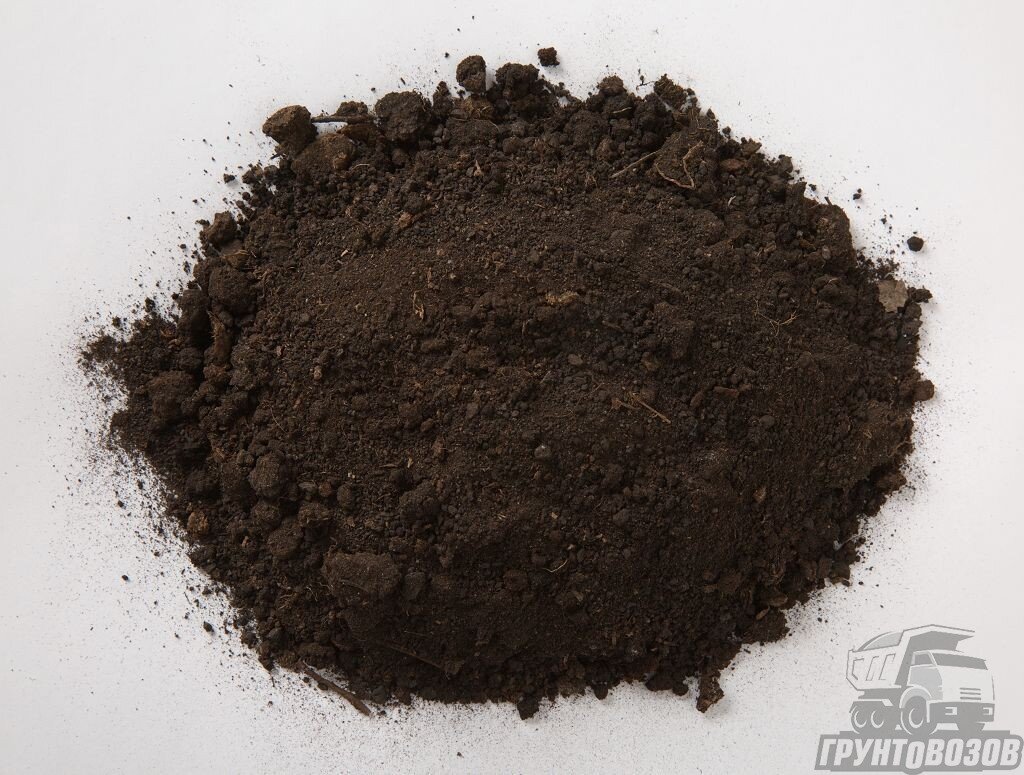 Почвогрунтом можно считать любую плодородную почву
