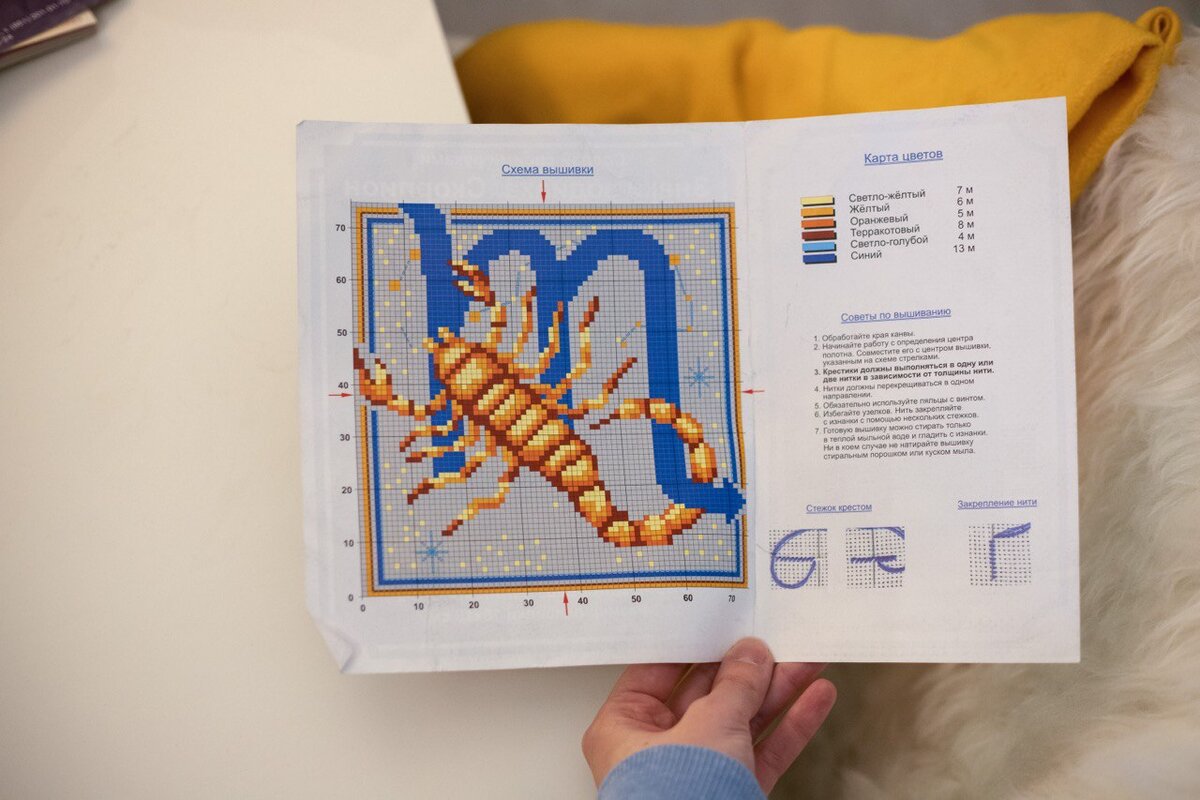 Схема скорпиона