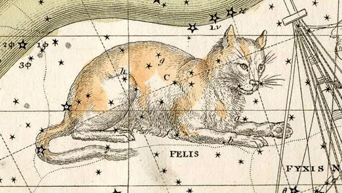 Созвездие Кошка (лат. Felis)