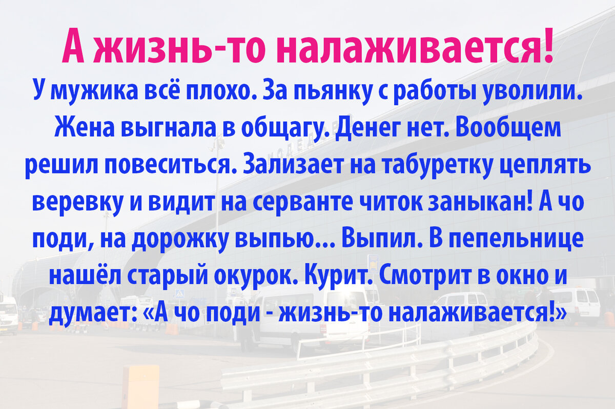 Как я опоздал на самолёт в Домодедово и вместо Барнаула улетел в  Новосибирск. Через 1 месяц узнал почему это хорошо | Фотопутешествия | Дзен