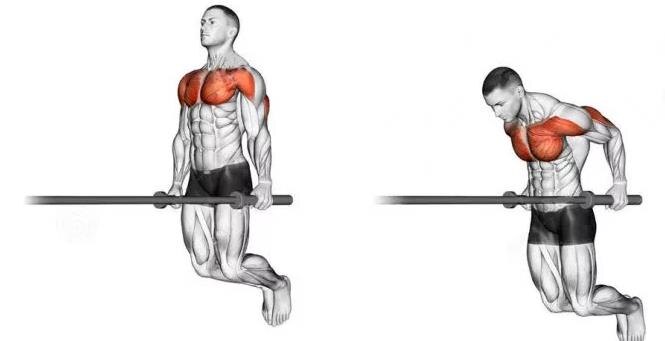 Изображение взято с Яндекс картинки