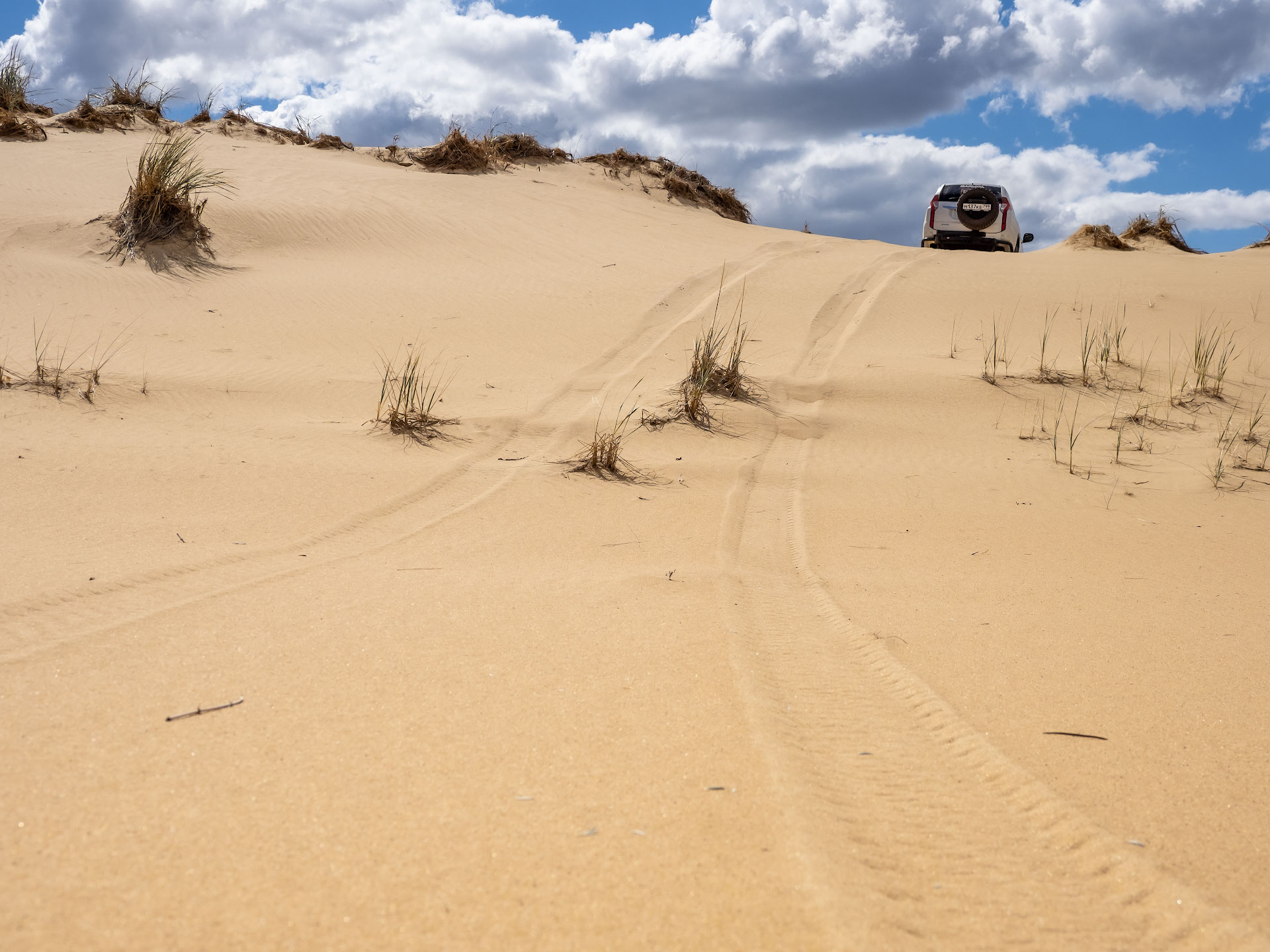 Desert на русском. Арчединско-Донские Пески. Арчединско Донские пустыни. Пустыня Чарские Пески климат. Арчедино-Донские Пески Волгоградская область.