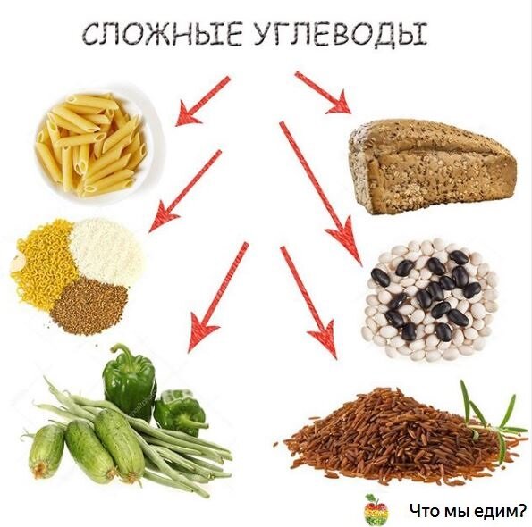 Что такое углеводы в продуктах питания