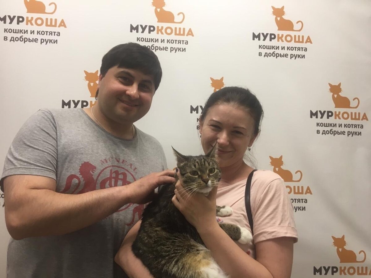 Котик Ляпис уехал домой 2 июня 2019 года