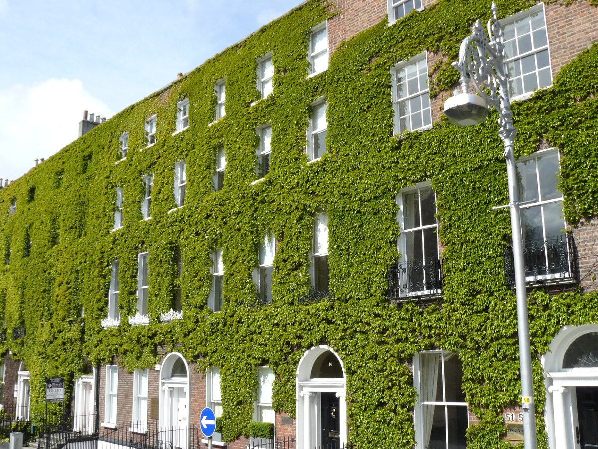 управляющий недвижимостью дзен