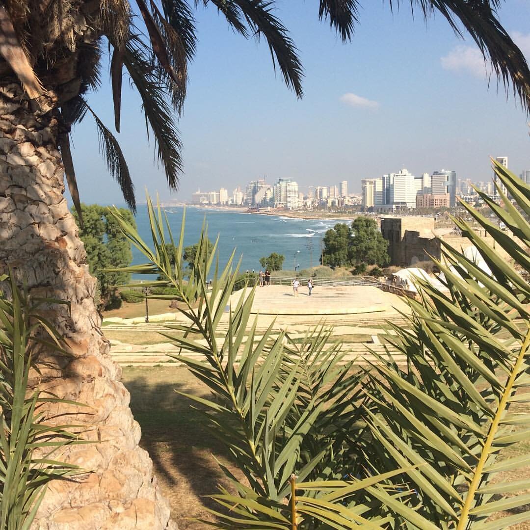 Вид на Тель-Авив со стороны Старого Яффо...