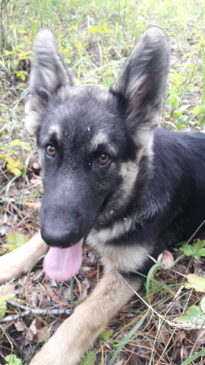 Из личного архива.