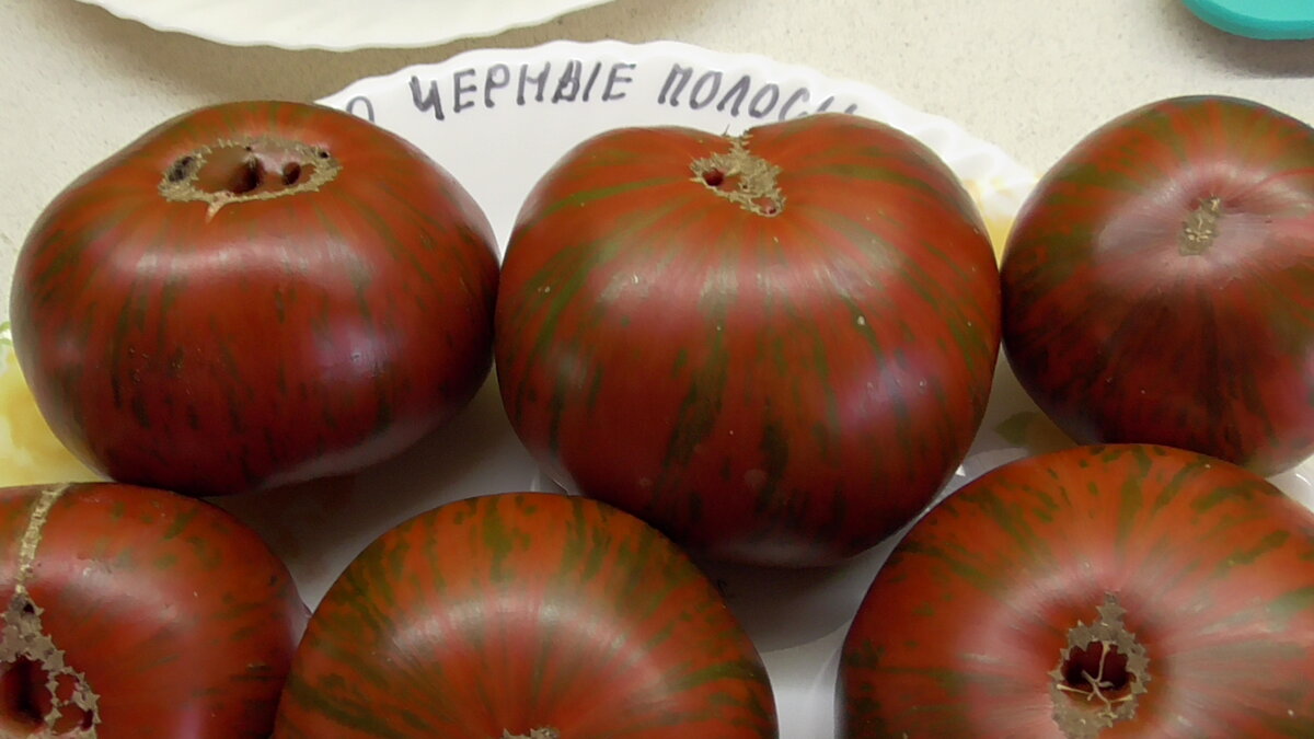Экзотические томаты, которыми можно любоваться бесконечно!