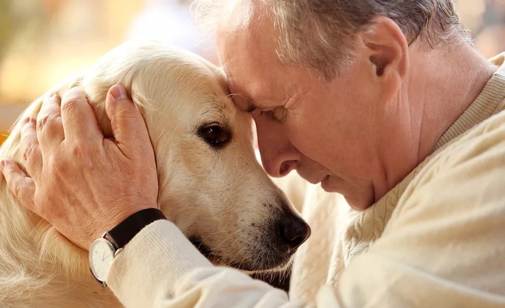 Собака полезна для здоровья сердца! 5 научно обоснованных фактов