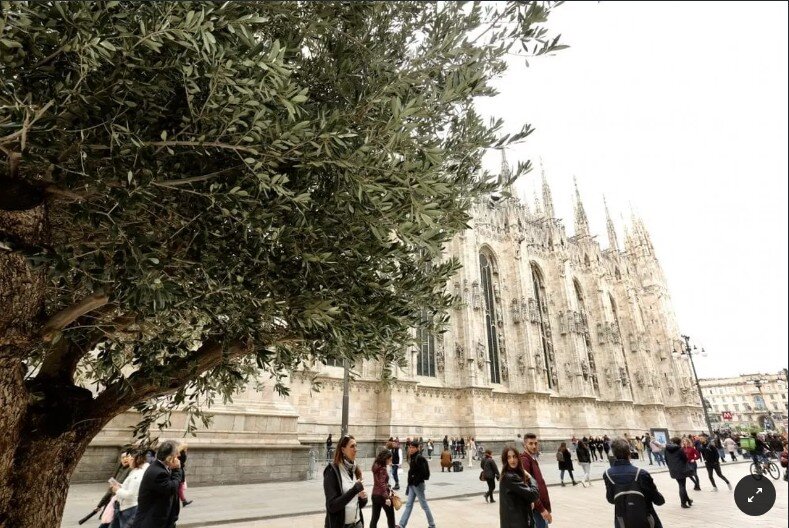 Фото с итальянского издания La repubblica. 