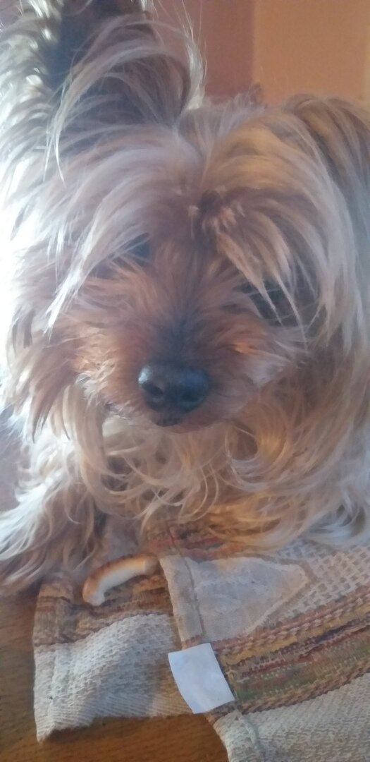 Моя любимая девочка. 14 лет со мной. 