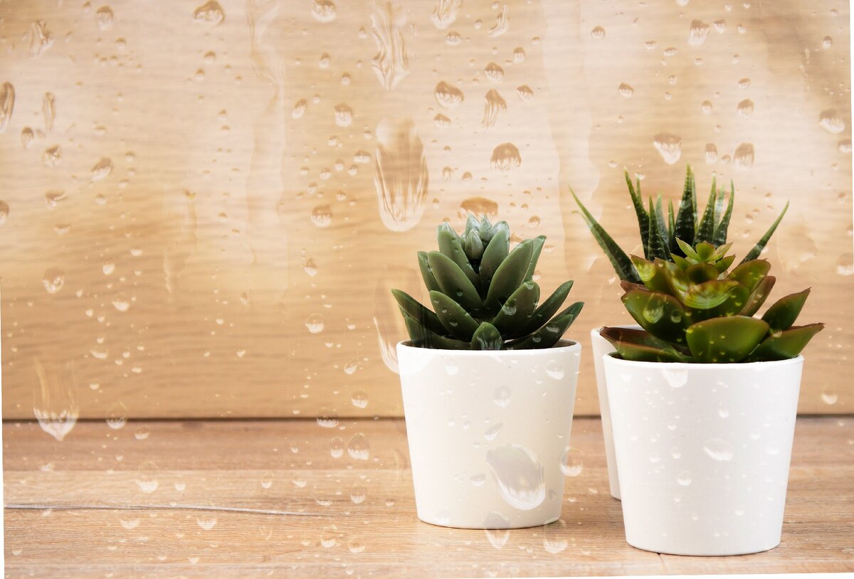 Если во сне вам подарили горшок, скоро в семье будет пополнение.