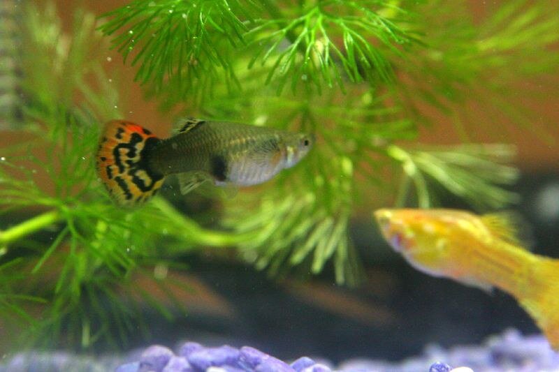 Photo by judhi on Foter.com / CC BY