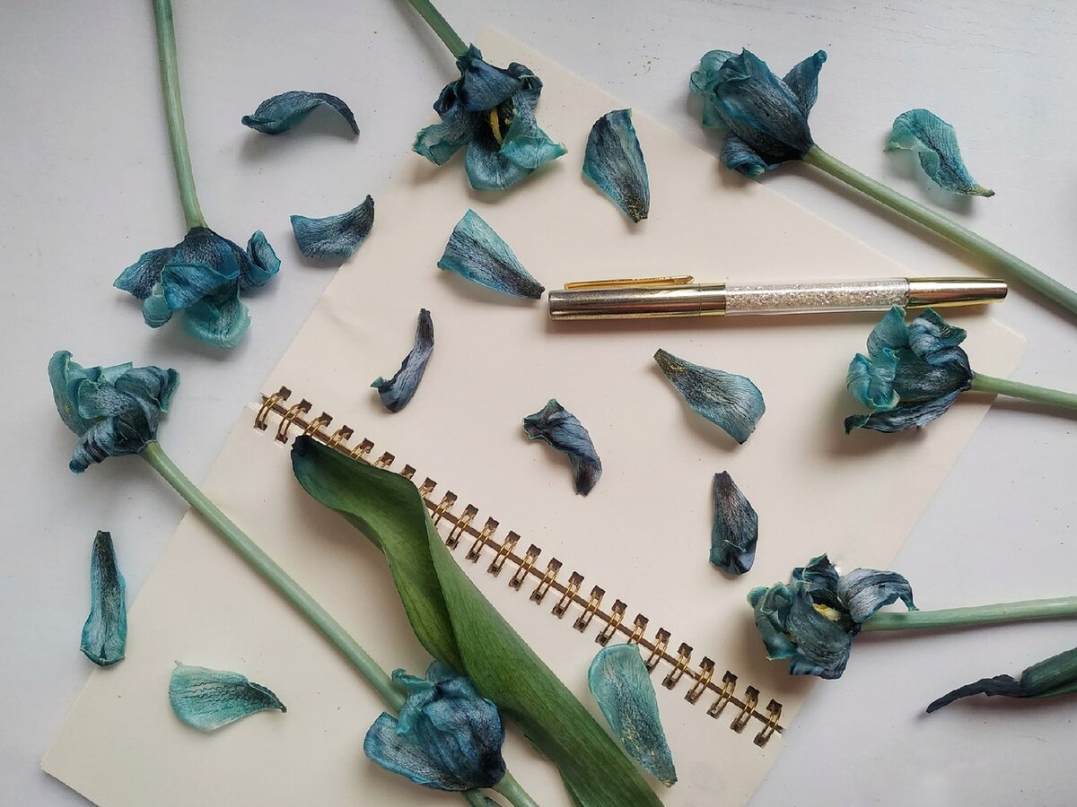 Фото из личного архива