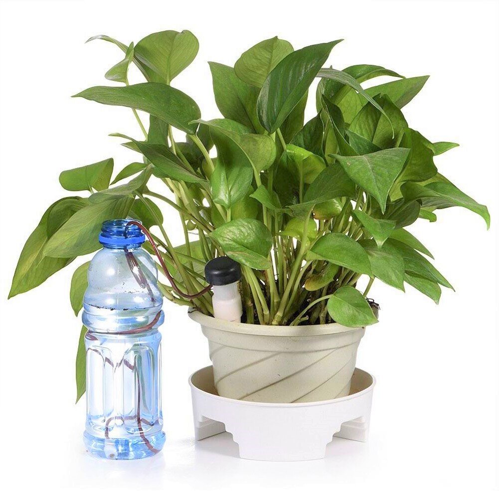 Удобрение цветов минеральной водой