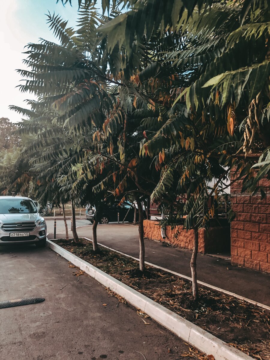 1 ноября 2020 года