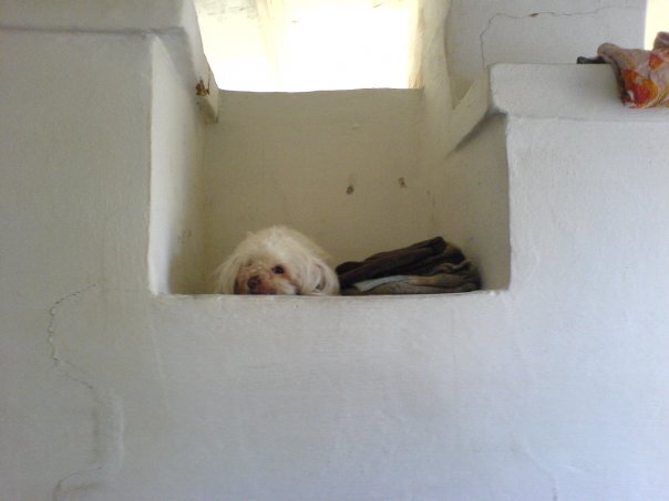 Это - Зайка греется на печке. На даче. 