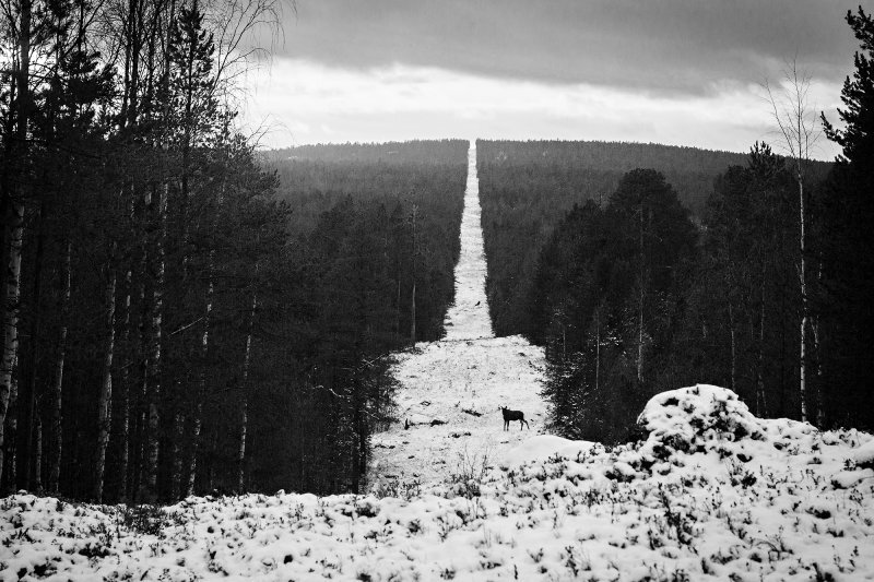 Фото: Varsinais Suomi