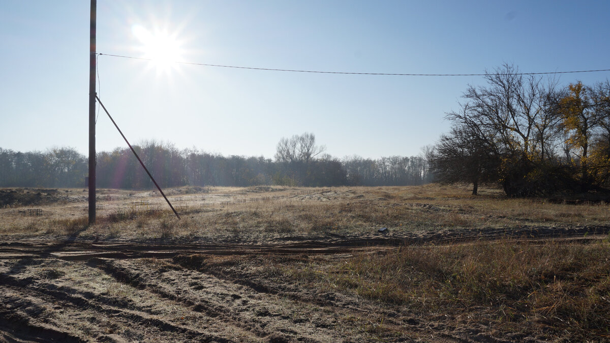 Самое лучшее время года, чтобы выбраться в лес