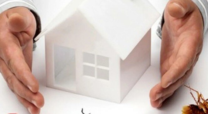 Источник фото Яндекс.Картинки