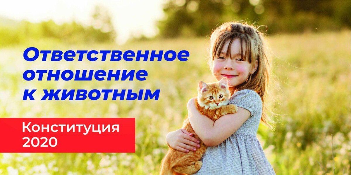Весна 2020го. Изменение основ Конституции, а также кошечки, собачки.