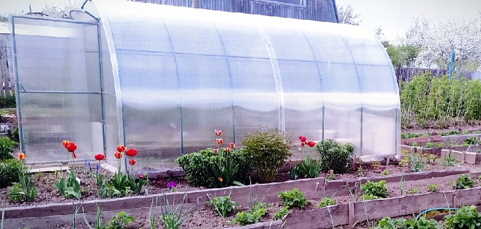 теплица из поликарбоната 