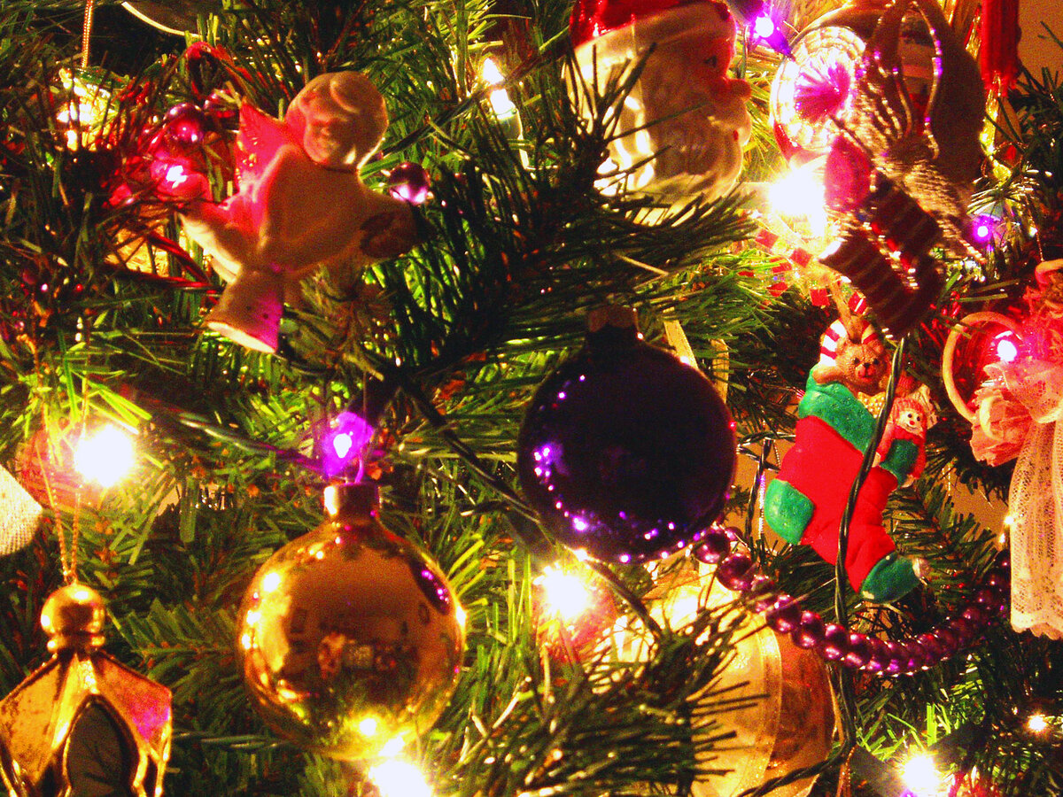 Photo by <a href="/photographer/ckforjc-39481">Cindy Kalamajka</a> from <a href="https://freeimages.com/">FreeImages</a>