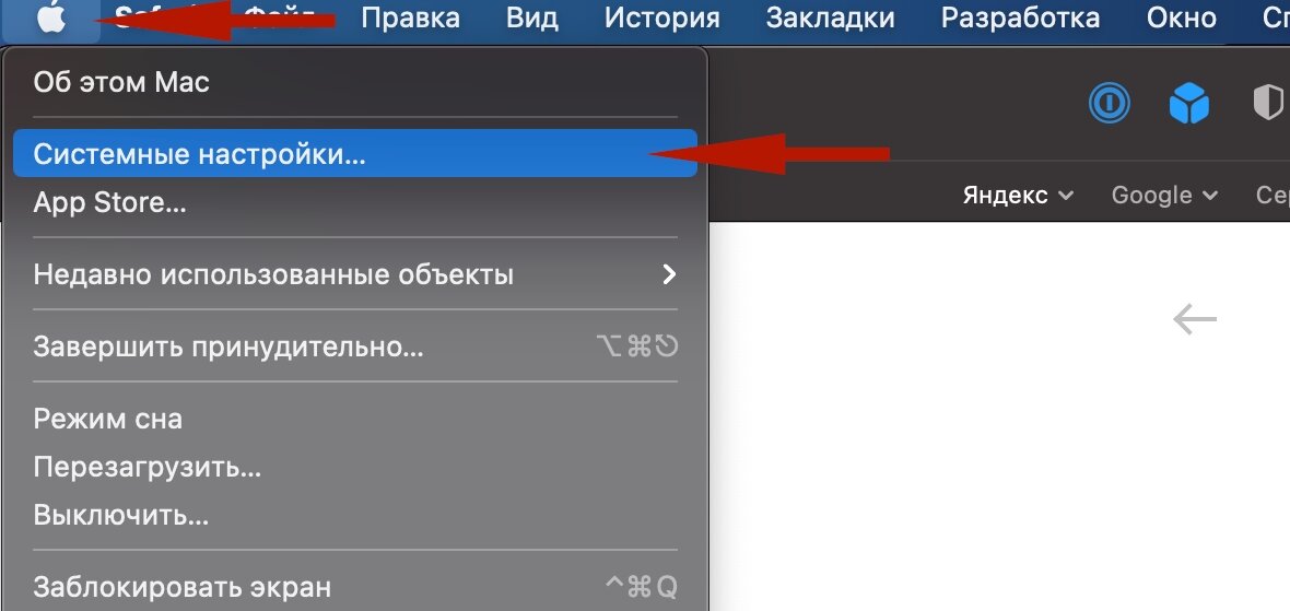 Открываем «Системные настройки»
