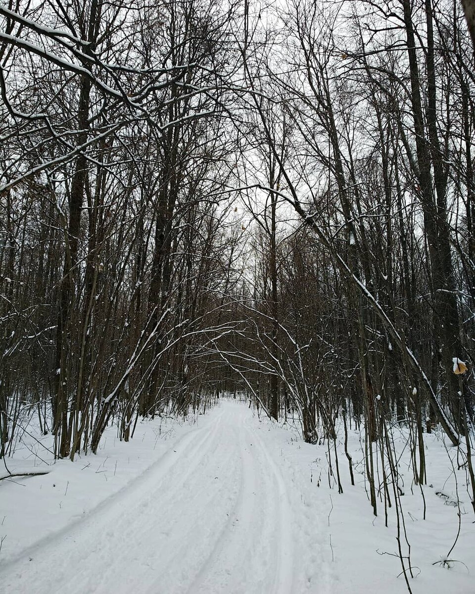 Уже начали ездить машины... Недолго лыжне осталось(