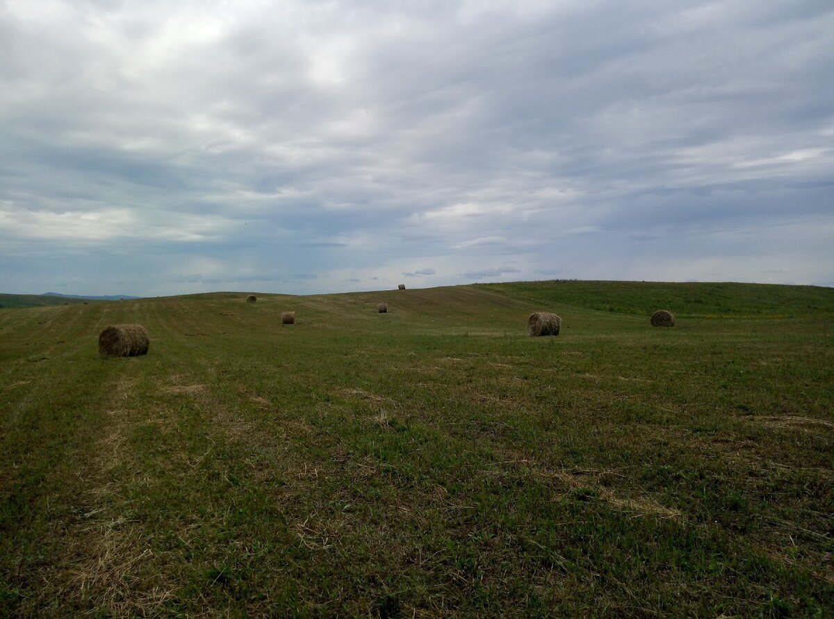 сенокос,