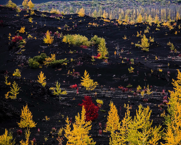 Финалист в категории «Пейзаж». Источник: Фёдор Савинцев, worldphoto.org