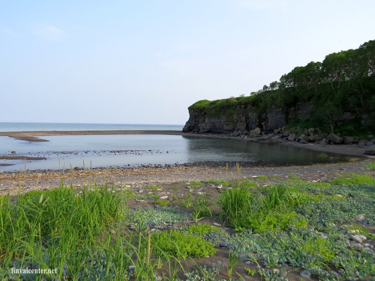 Морское побережье возле устья реки Шумная