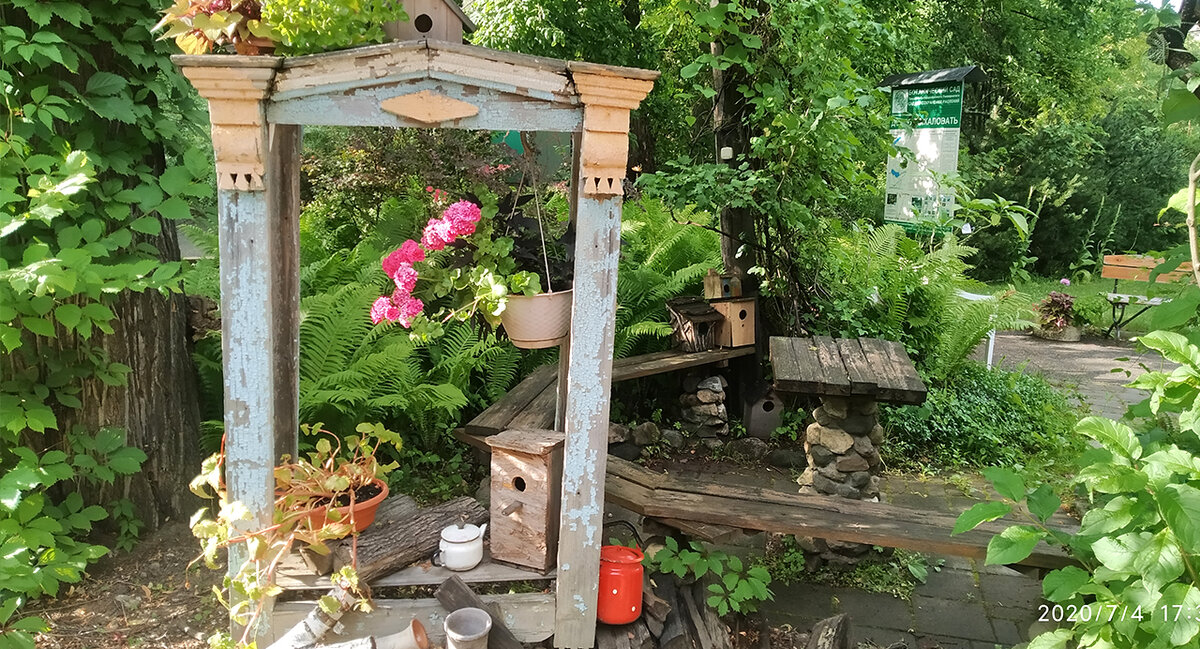 В тверском ботаническом саду