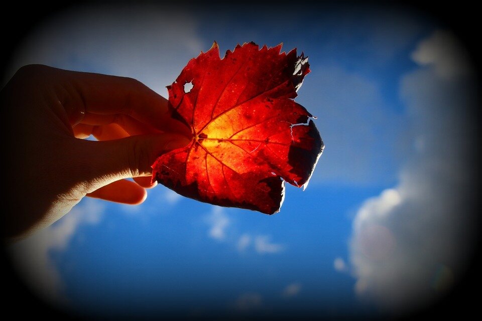 законы кармы для всех одинаковы/источник фото - https://clck.ru/TiLma