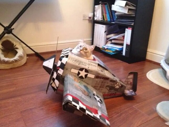 Источник Яндекс. Картинки 