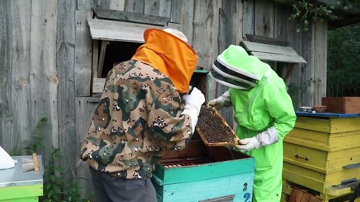 Первый мёд от наших пчёл и другие подарки на день рождения!