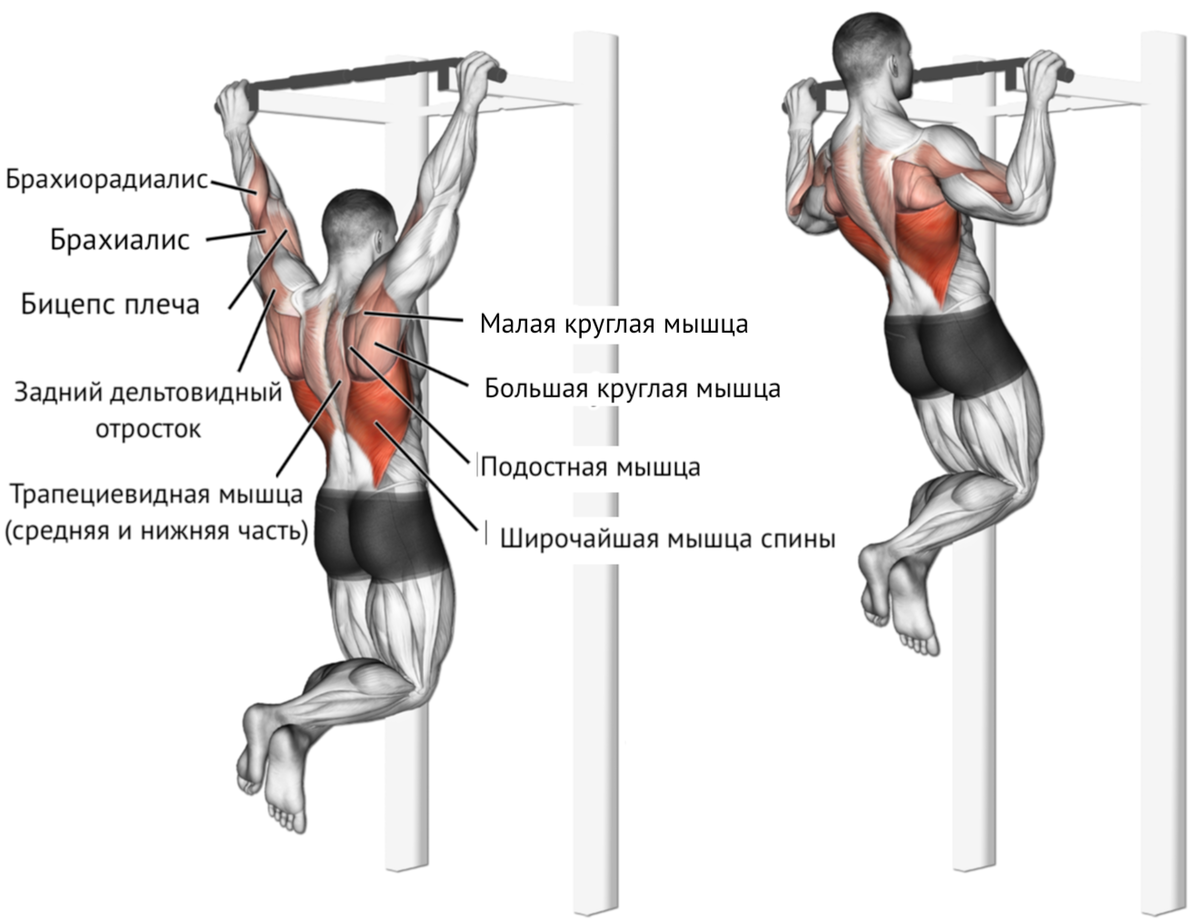 10 упражнений для спины, эффективность которых подтверждена учёными