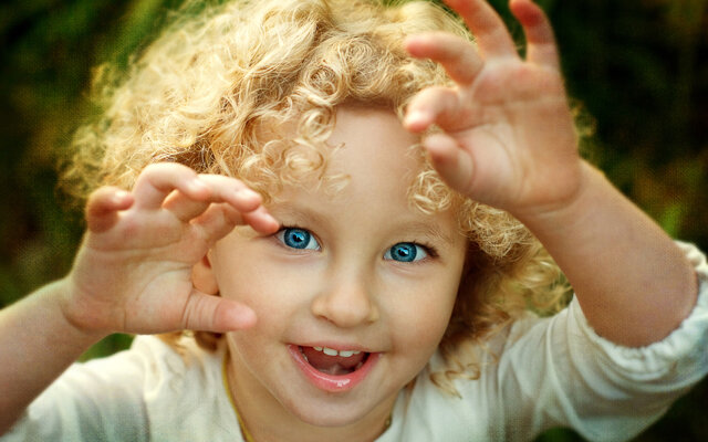 Из открытых источников сети Интернет.