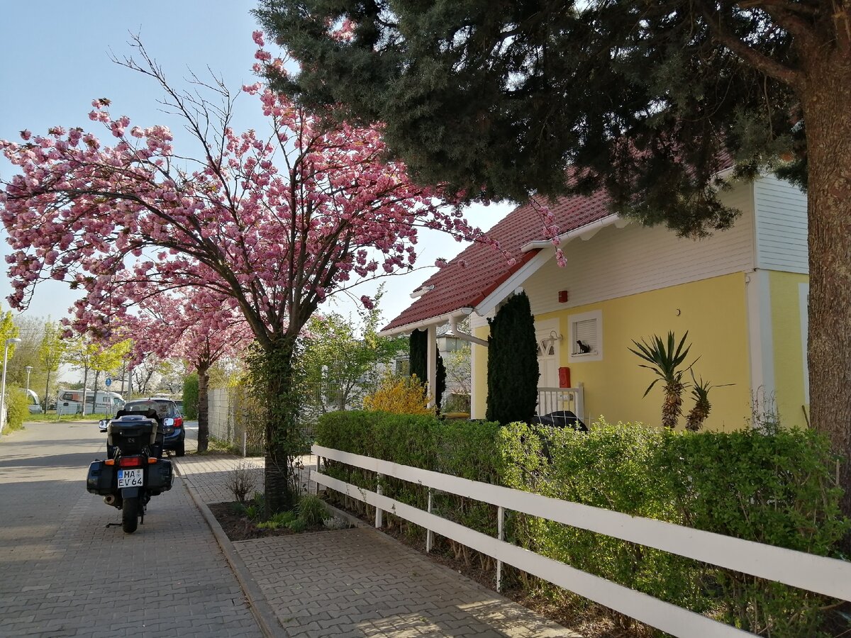 Дом моих соседей в Германии