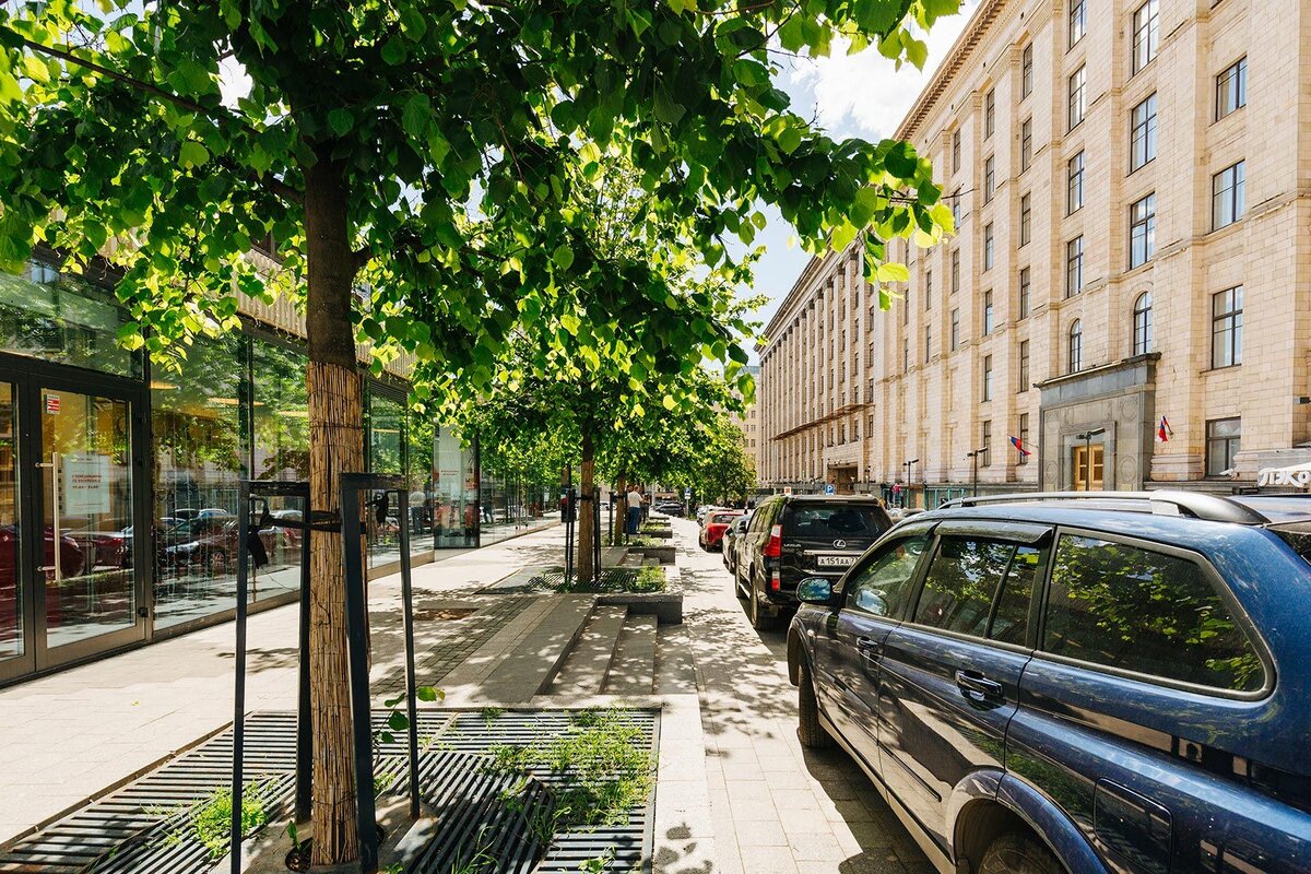 https://www.mos.ru/city/projects/ozelenenie/