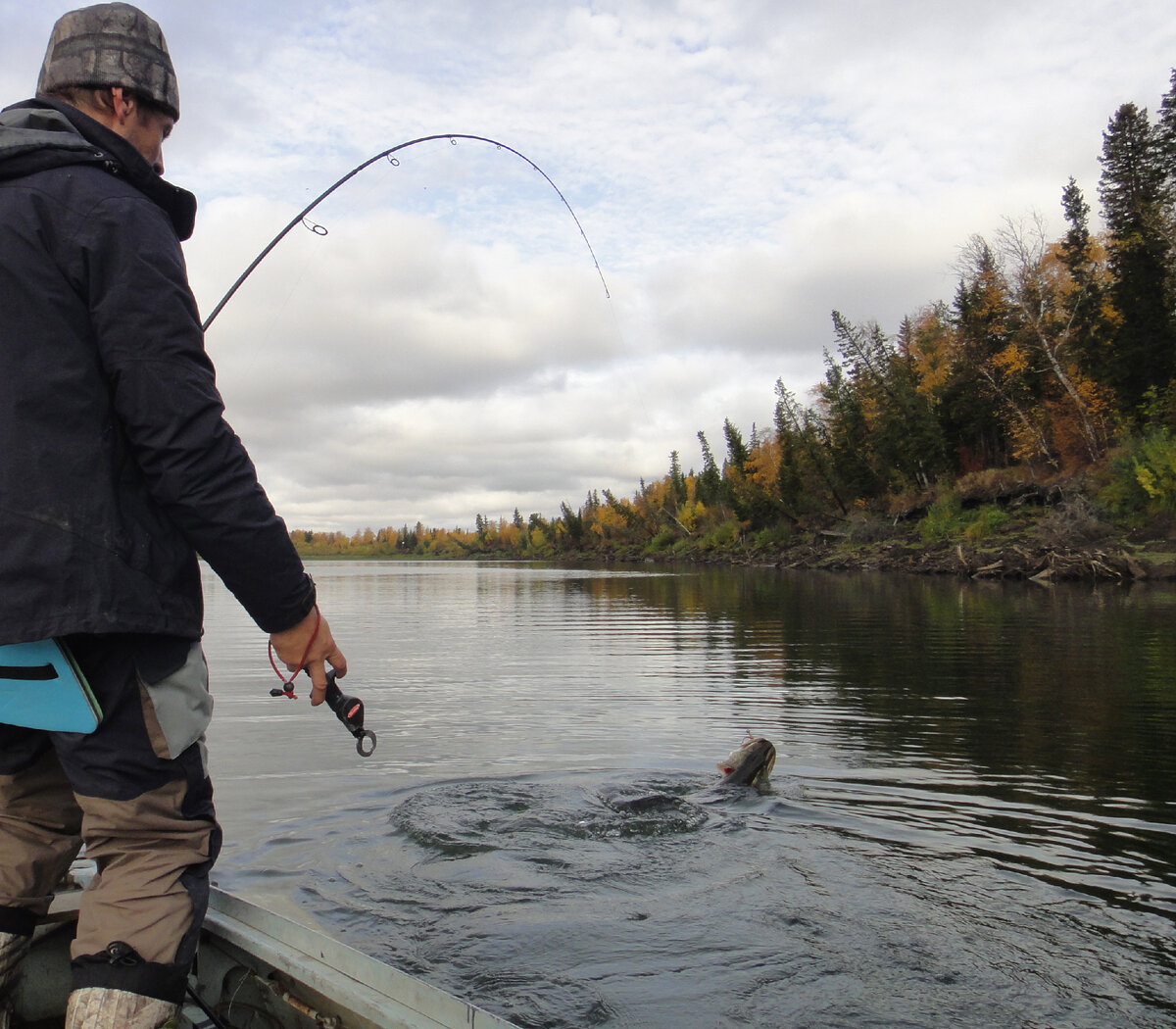 Зачем столько сложностей? Рыбу нашел - поймаешь. А не нашел... | Max  Fishing | Дзен