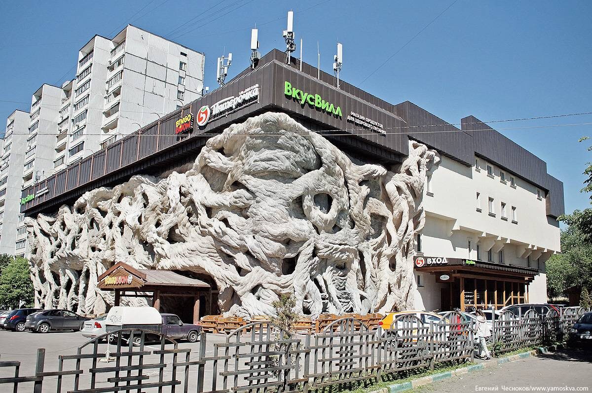 Дом с корнями на Грайвороновской улице