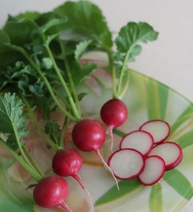 урожай редиса.