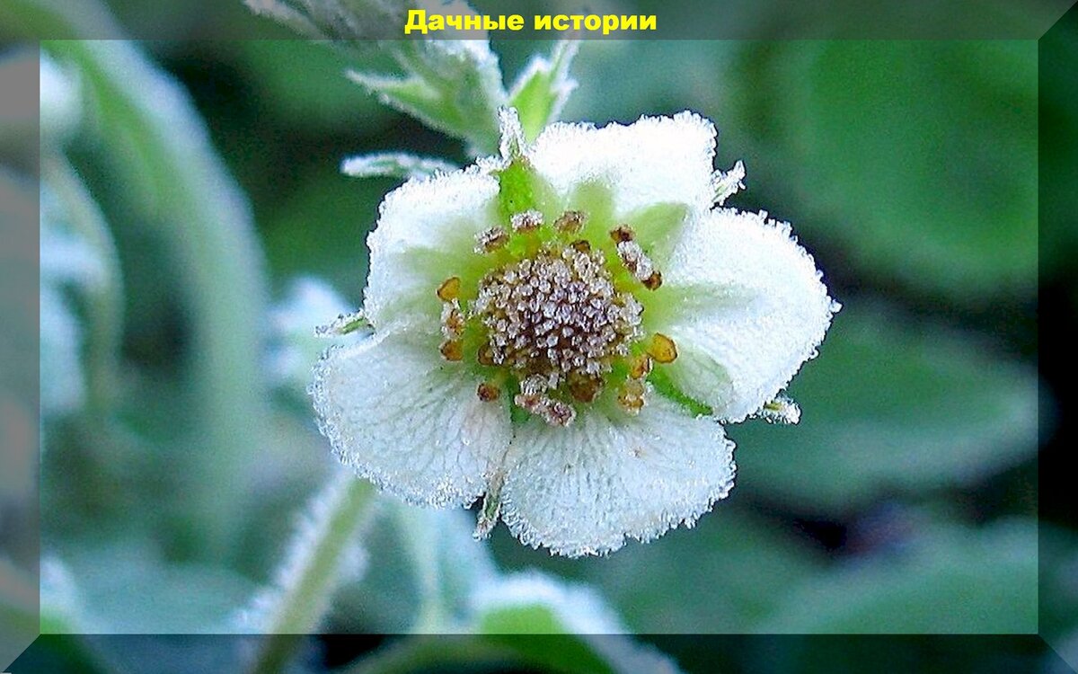 https://vk.com/photo-159774511_457247291